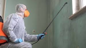 Reliable Alexandria, AL Mold Removal Solutions